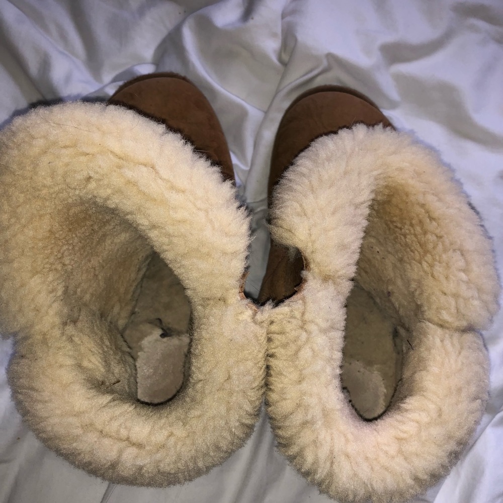 bailey button uggs - Picture 4 of 4